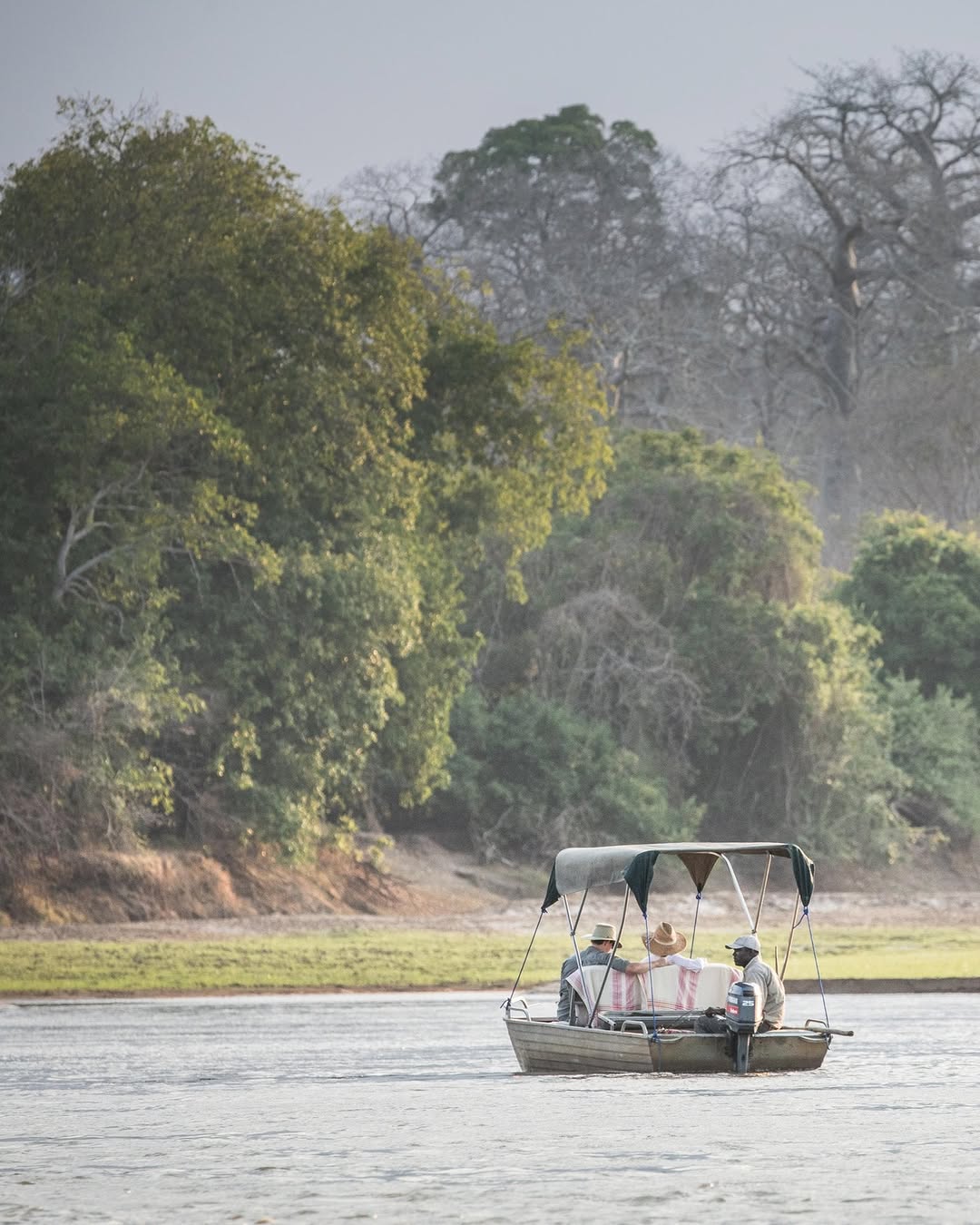 Nyerere Wildlife